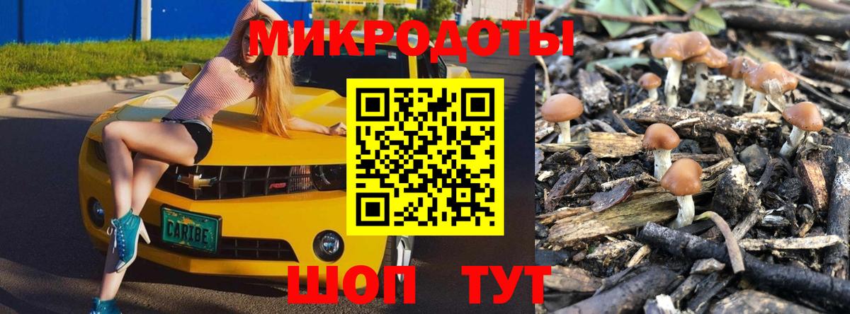 Аксай  Галлюциногенные грибы мицелий  Вход с VPN  Галлюциногенные грибы прущие грибы 