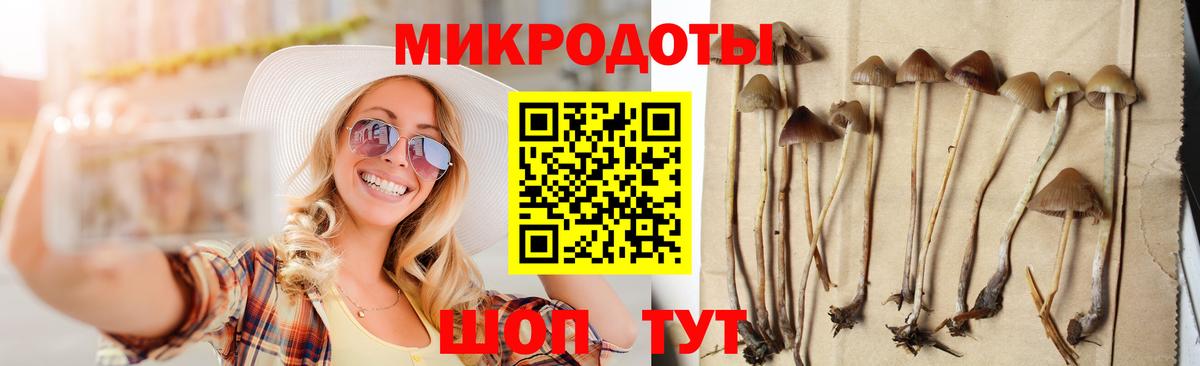 Галлюциногенные грибы прущие грибы Аксай